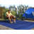 Poindexter Solid Color Machine Tufted Polypropylene Indoor / Outdoor in Blue-13300590