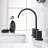 Widespread 2-handle Bathroom Faucet with Drain Assembly-86794402