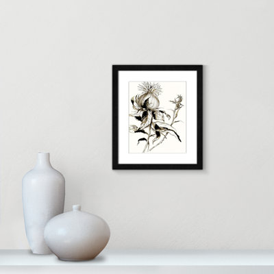Botanical Seed II par - impression