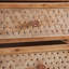 Rattan