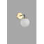 Akashia LED Wallchiere