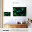 Serpent tropical Brampt-108888921