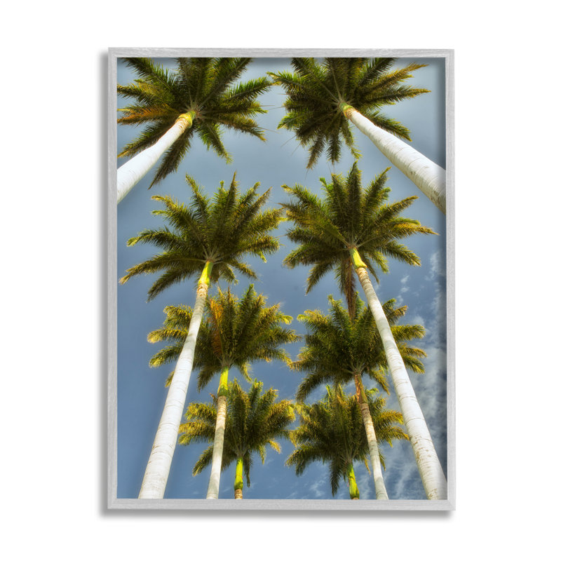 «Palm Trees Overhead» par Dennis Frates, H 20 po x l 16 po x P 1,5 po, Estampe numérique Farmhouse