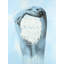 «Sweet Woman», reproduction sur toile