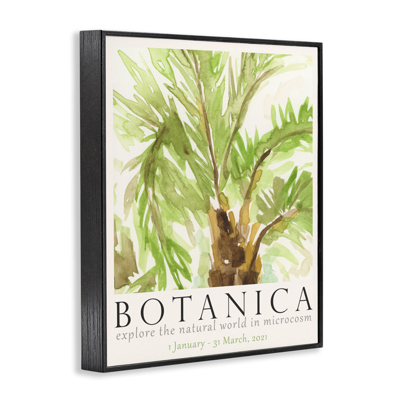  «Botanica», palmier, estampe numérique par June Erica Vess, Giclée encadrée noir minuit, H 30 po x l 24 po