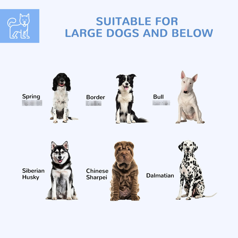 Piste pour chien 9,2 pi x 8 pi 5,6 pi, argent Extérieur pour chiens de taille moyenne et grande. Entrée verrouillable sécurisée. Espace spacieux et relaxant. Weather-. Méthode d'installation facile pour une entrée de taille moyenne à grande. Relaxant.
