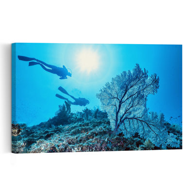 Sunlit Coral Divers Abstract Contemporary Nature Ocean Wall Art Print