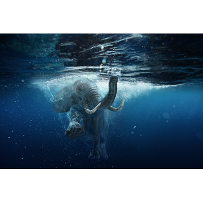 " Elephant Swim Underwater "