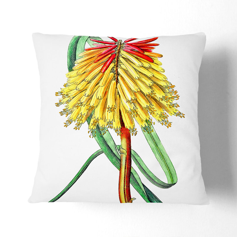 Square Cushion, 40cm H x 40cm W x 15cm D