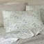 Ensemble de draps 100% coton-528417523-528417519