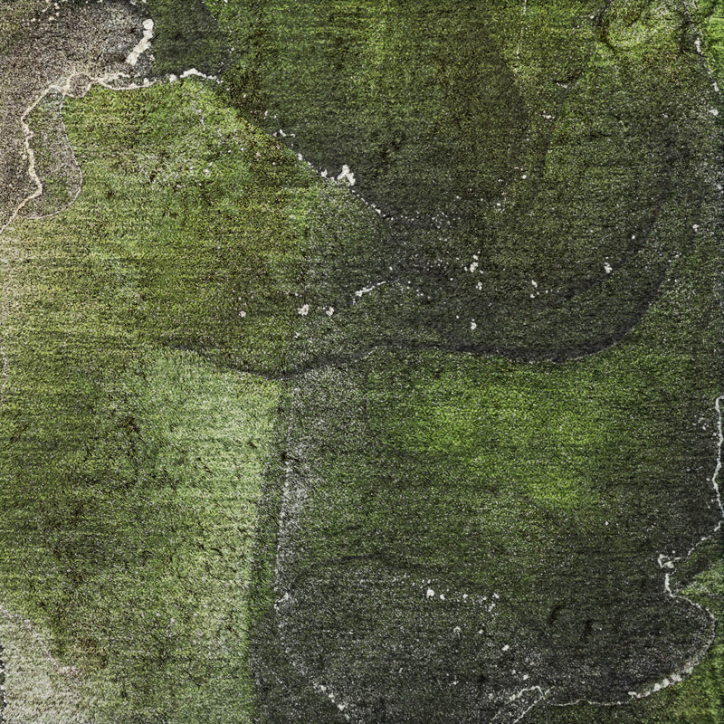 Premium Machine Washable Dream Shag ADS503 Watercolors Rug, Green, 2'6" x 3'10"