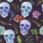 Skull And Succulent Plants by Unkown - Wrapped Canvas Art Prints-1632316640