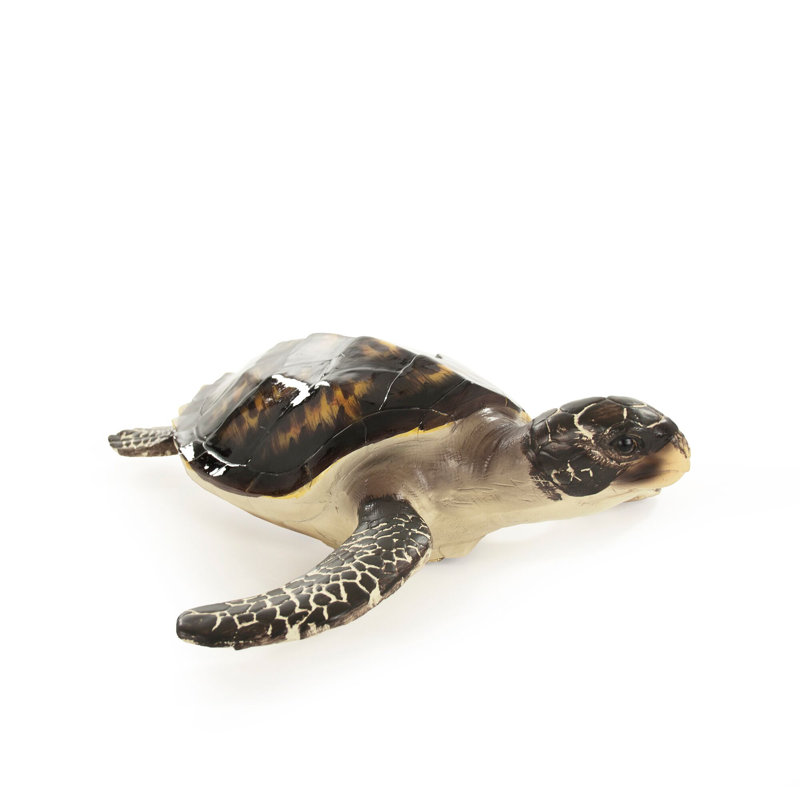 Figurine tortue de mer Pelham, H 3,5 po x l 10 po x P 11,75 po