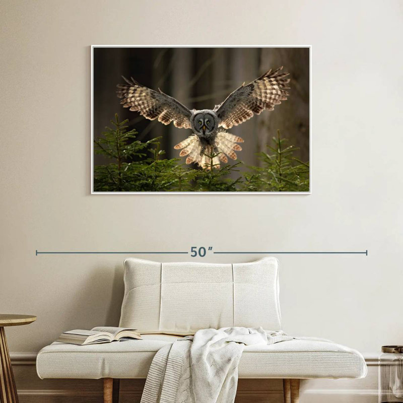 Hibou volant, Cadre flottant blanc, 40 po x 27 po