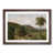 Walnut Framed selected