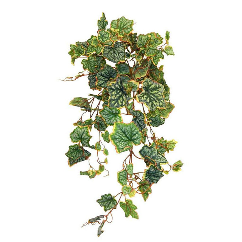 Grape Arrangement