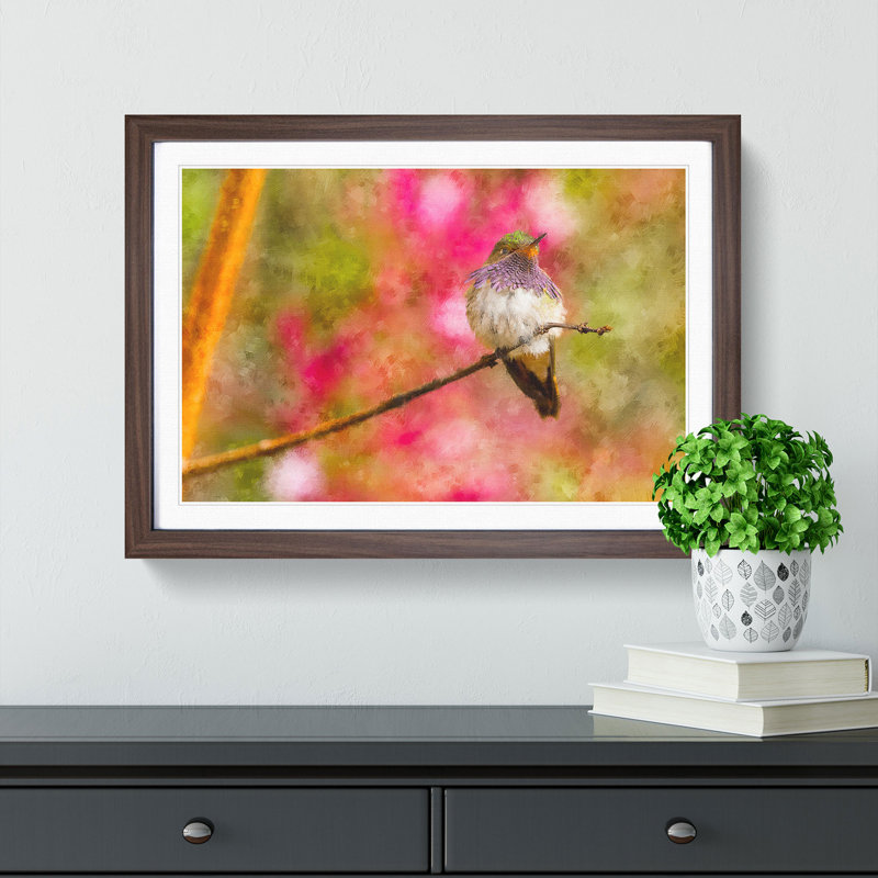Hummingbird - Picture Frame Graphic Art Print, Walnut Framed, 48cm H x 65cm W x 2cm D