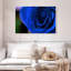 Bleu rose arbuste-968050427-968050424