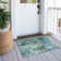 Machine Washable Indoor/Outdoor Efimenko ACN2300 Abstract Rug