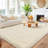 Ebern Designs Soft Fluffy Cream White Shag Area Rug for Living Room Bedroom Nursery Kids Room-1164655152-1158648131