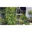 Obélisque treillis pour plantes grimpantes-273061384-276630029