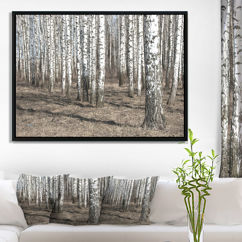 « belle dense bouleau forest view », reproduction de photo sur toile encadrée, H 12 po x l 20 po x P 1 po