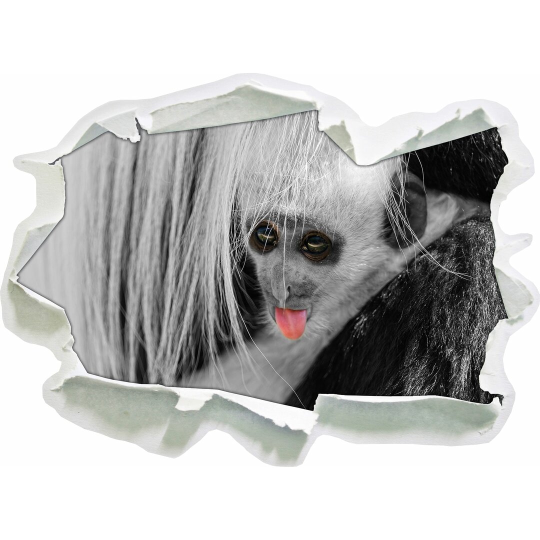 Wandtattoo Bildschönes Colobus-Äffchen