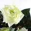 90cm Faux Flowering Plant in Pot Liner
