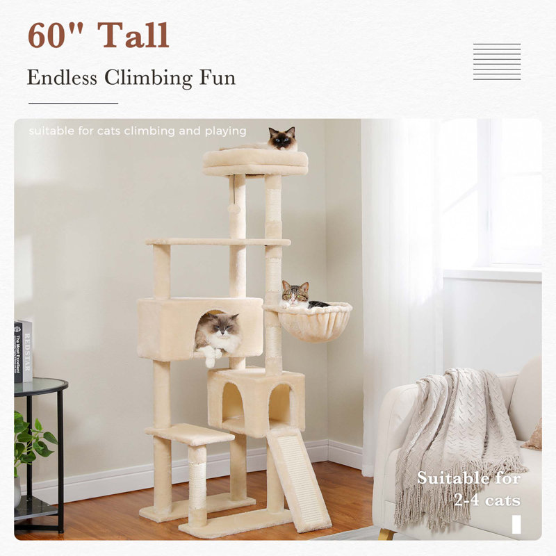 Grand arbre à chat, Beige
