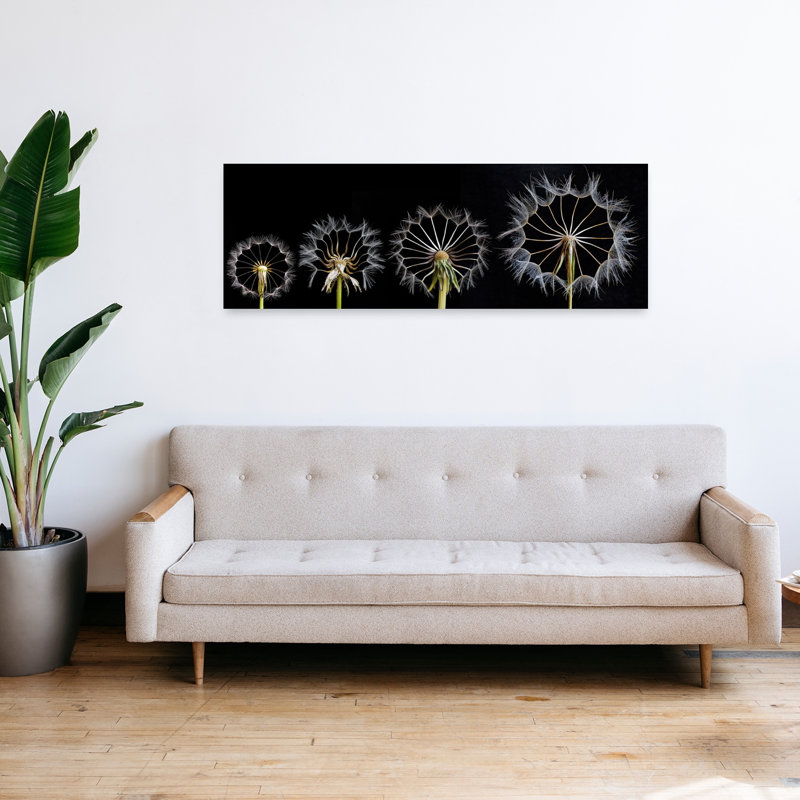 Pissenlit, graines, étapes, délicat, élégant, pissenlit, fleur, art mural, H 16 po x l 48 po