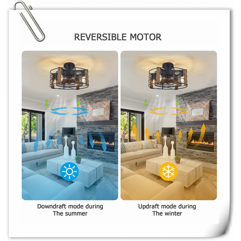 Museau Ceiling Fan with LED Lights