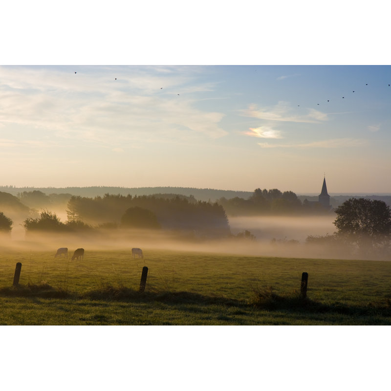 Tôt le matin par Thomassaupe, H 12 po x l 18 po