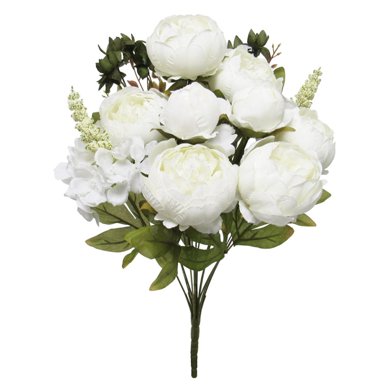 Buisson de pivoines de luxe mélangé, Blanc, crème
