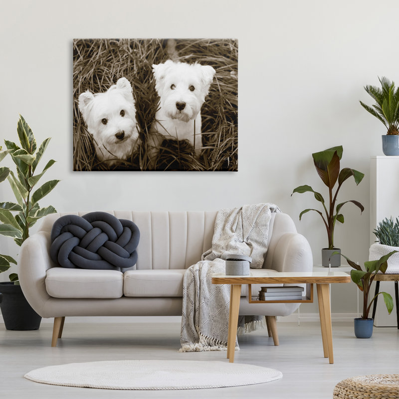 «White Terrier Puppies» par Jim Dratfield - reproduction de photo sur toile tendue, H 36 po x l 48 po x P 1,5 po