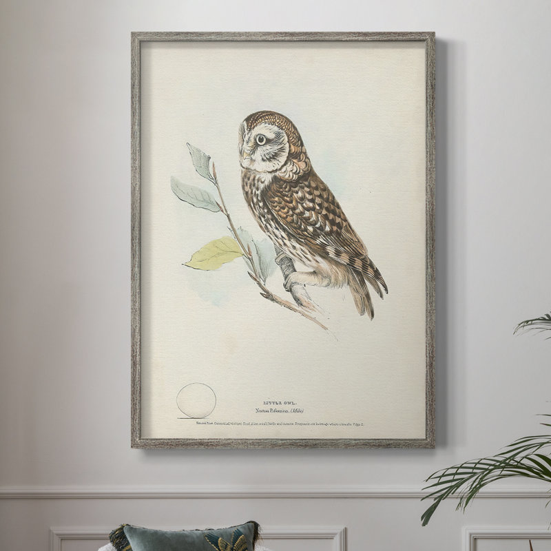 «Little Owl», reproduction encadrée - bois massif, H 11 po x l 9 po