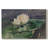 " Vintage Botanical -LX "-355909442-353254667