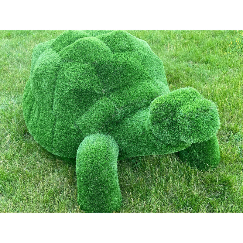 Tortue animalière extérieure