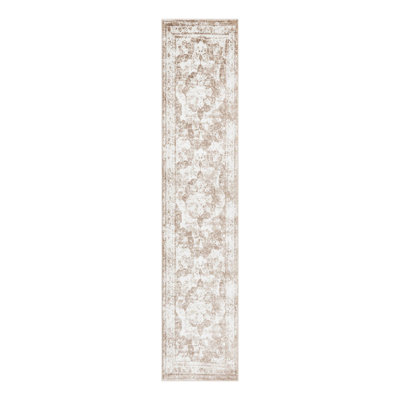 Coblitz Oriental Indoor Rug