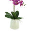 Arrangement floral orchidée phalaenopsis en pot