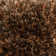 Diano Area Rug in Brown