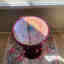 Photos des clients 2 de 3