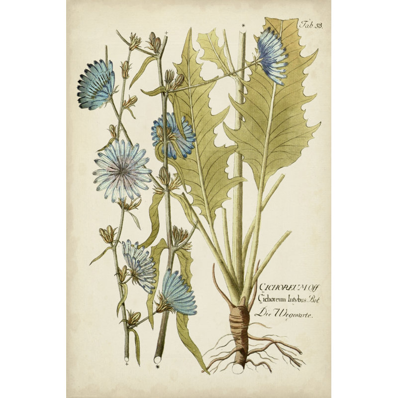 Éloquent botanique I, H 18 po x l 12 po x P 1,25 po