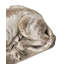 Animals Ceramic / Porcelain Garden Statue