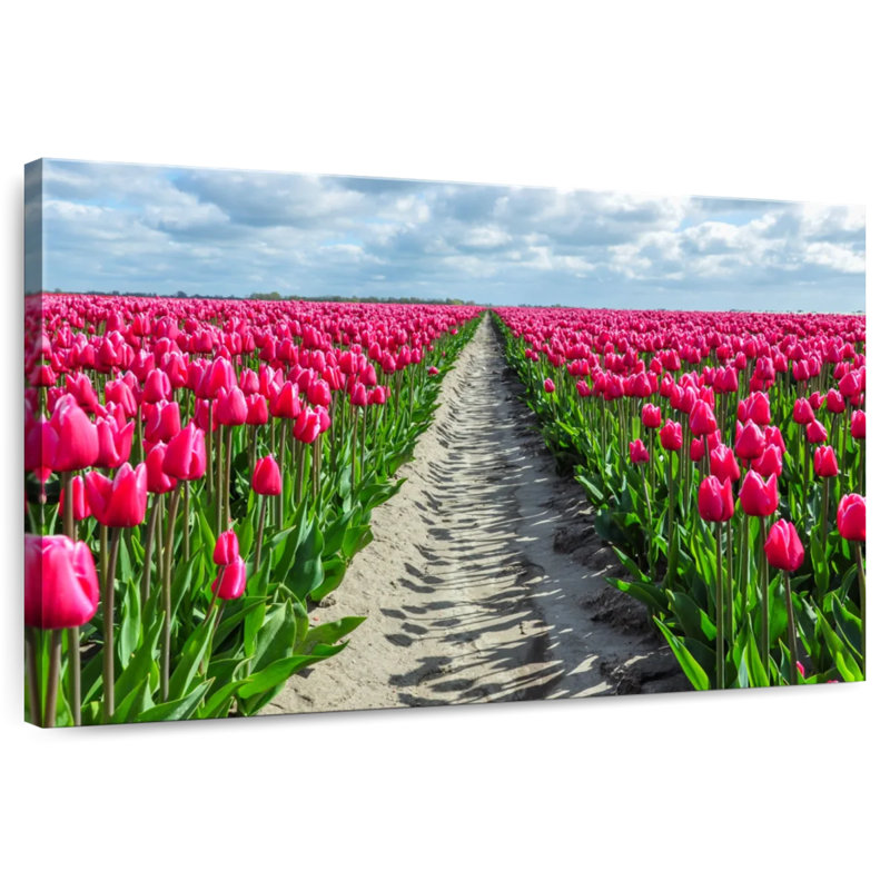 Harnek Vanishing Tulips