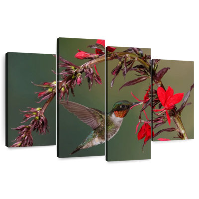 Brampt Fluttering Hummingbird