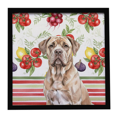 Isabella Dogue de Bordeaux, légumes, impression sur métal encadrée