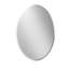 Audrye Oval Mirror with Hooks