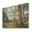 Birch Tree Forest Essence III - Impression sur bois-949284300