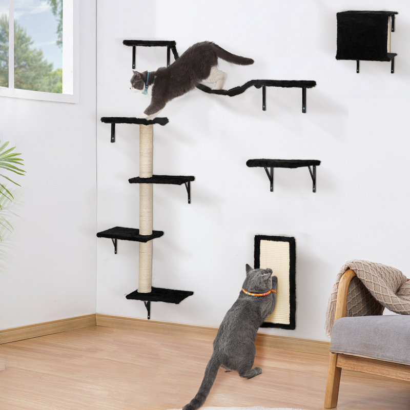 Ensemble de 5 escaliers muraux flottants pour chat