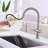 Novo Single Hole Two Handle Pull Down Kitchen Faucet-123809208